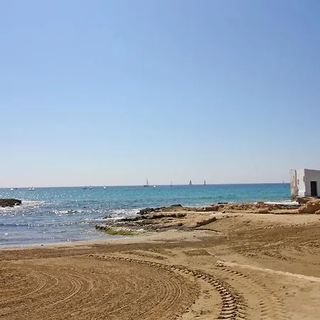 Holiday Amatista